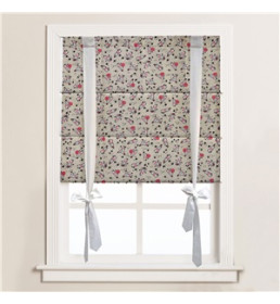 ΡΟΜΑΝ ΠΑΙΔΙΚΟΥ ΔΩΜΑΤΙΟΥ