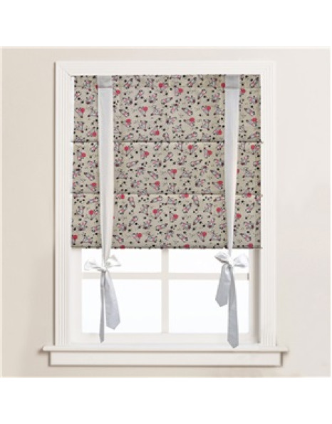 ΡΟΜΑΝ ΠΑΙΔΙΚΟΥ ΔΩΜΑΤΙΟΥ