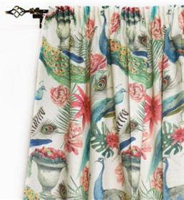 ΚΟΥΡΤΙΝΑ ΜΕ ΠΑΓΩΝΙ