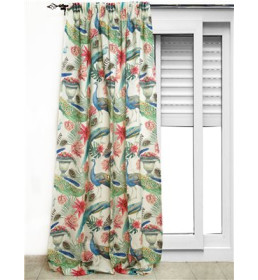 ΚΟΥΡΤΙΝΑ ΜΕ ΠΑΓΩΝΙ